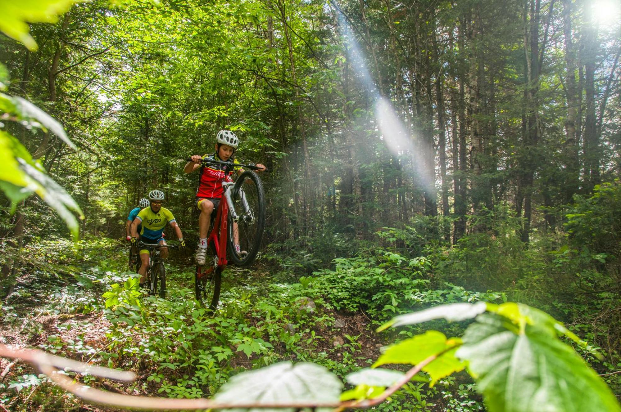 Imago Village Saint-David-de-Falardeau Zewnętrze zdjęcie