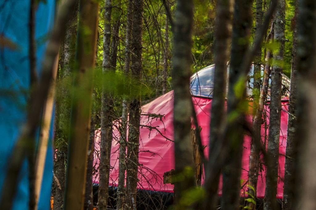 Imago Village Saint-David-de-Falardeau Zewnętrze zdjęcie